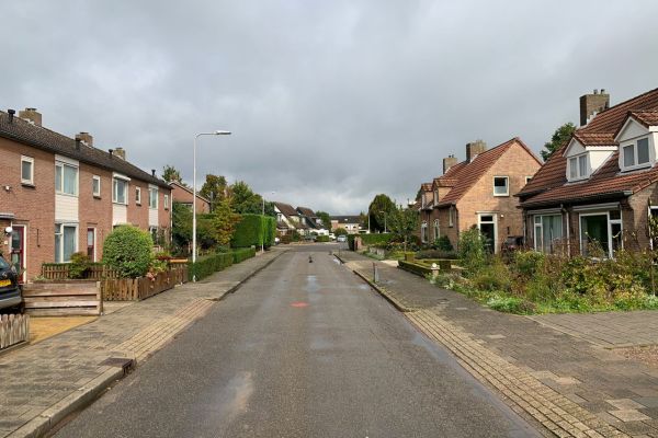 Nieuwe bomen in de Sint Maartenstraat