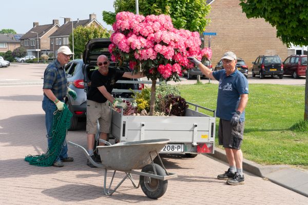 Struikroven en Woningplukken