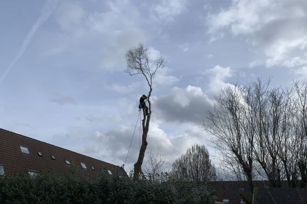 WOONstichting Gendt werkt samen met CAZAZ! 3